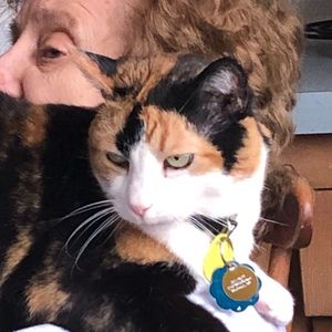 Meet your Posher, Theresa